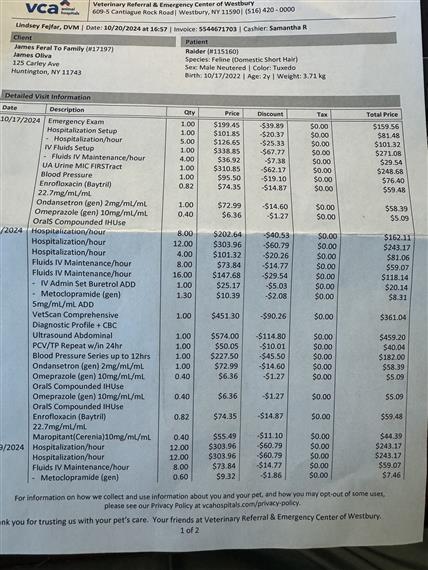 Invoice