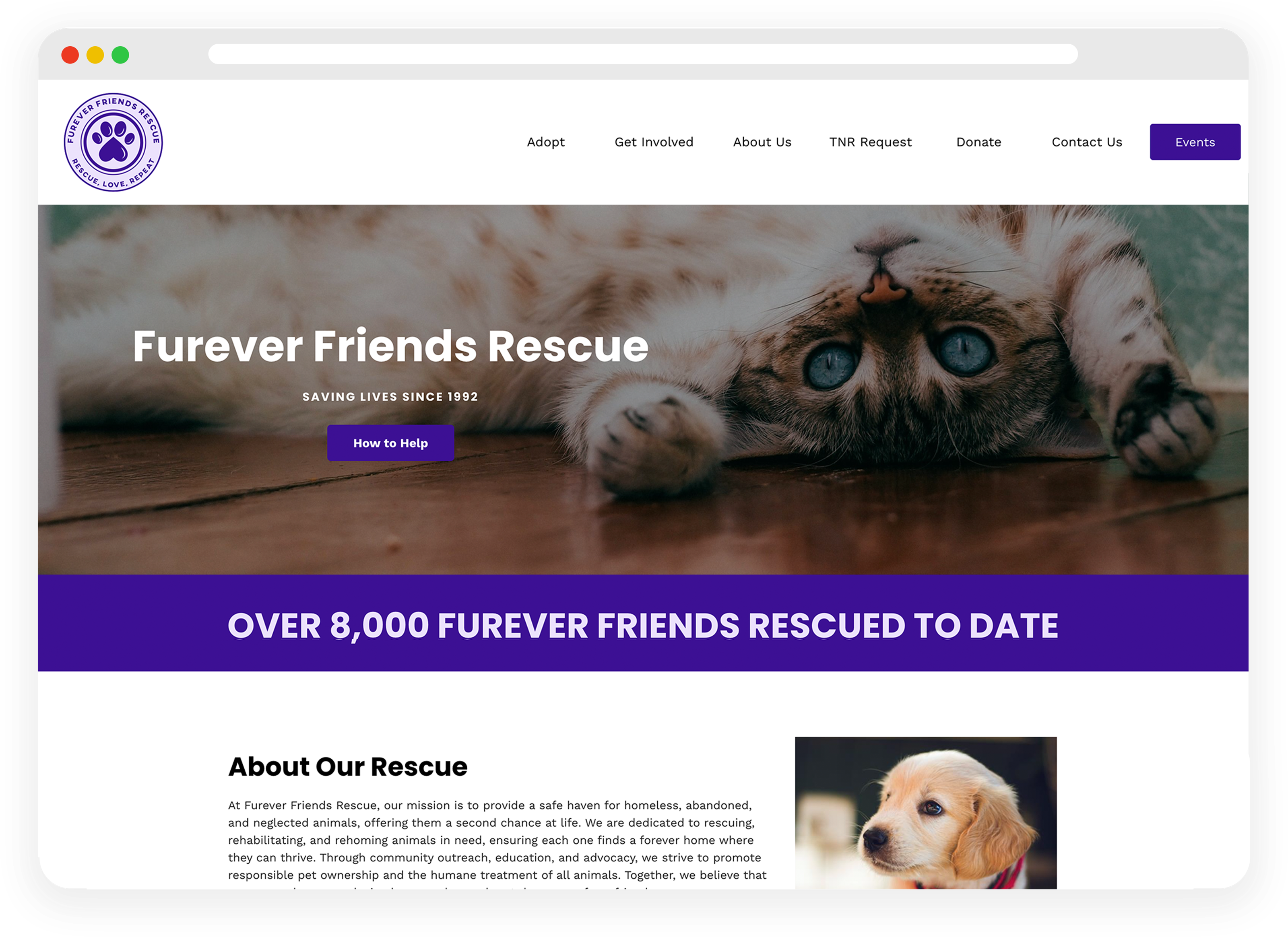 furever friends homepage