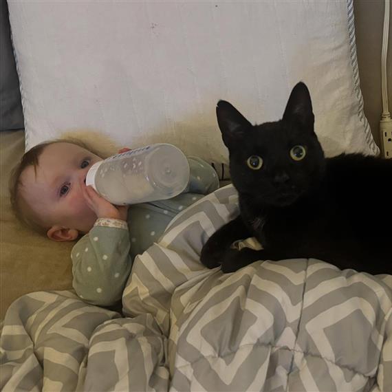 oreo