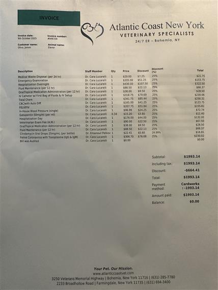 Invoice