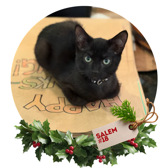 Salem