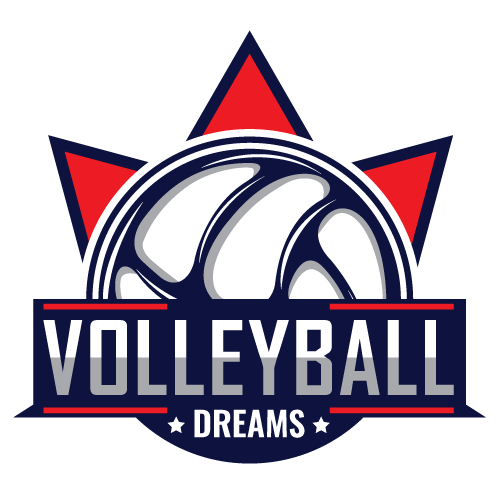 volleball logo