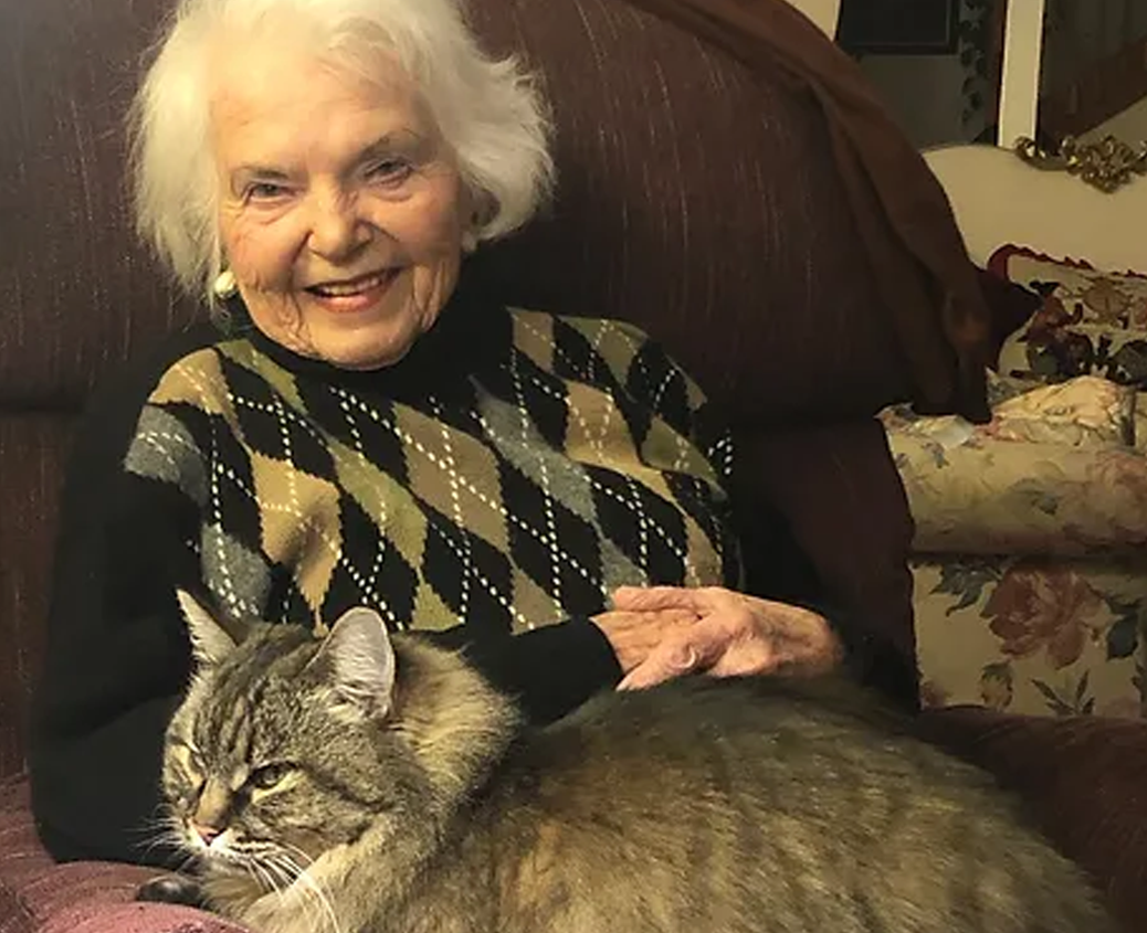 senior foster program
