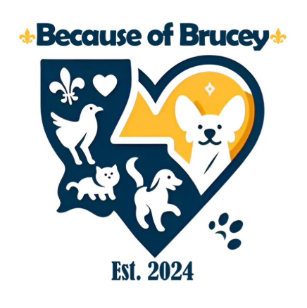 Because of Brucey