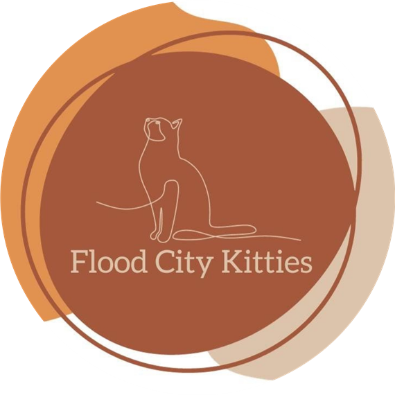 Flood City Kitties Logo