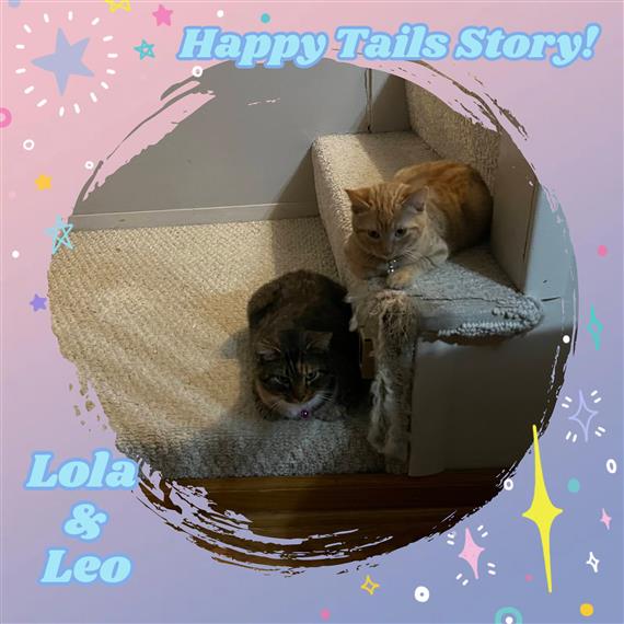 Lola and Leo adoptor submitted photo