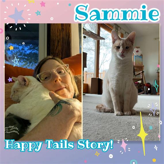 Sammie adoption pictures
