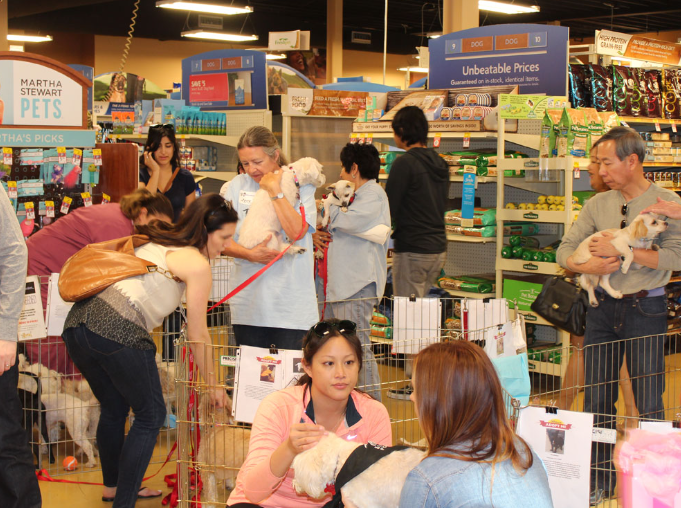 volunteer event