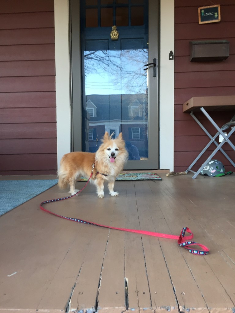janie