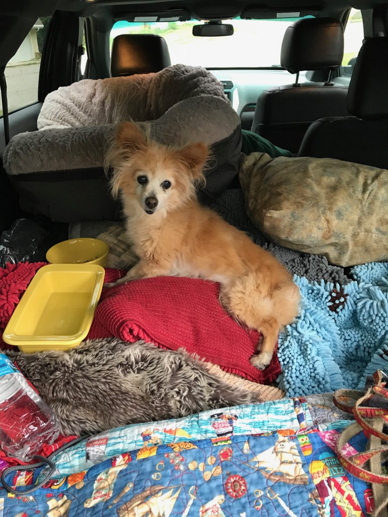 janie