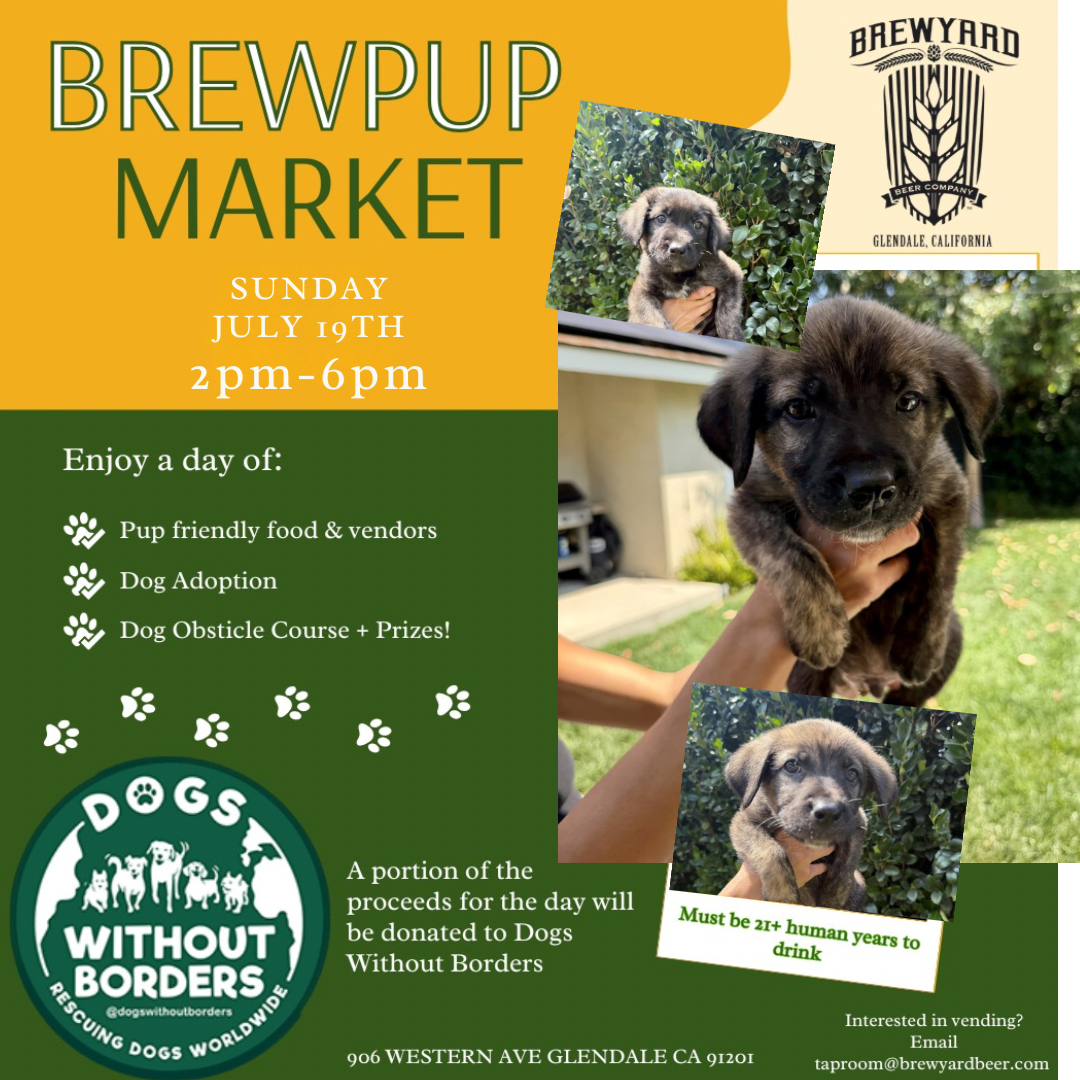 adoption event