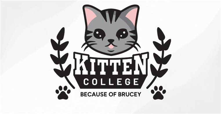 Kitten College Logo