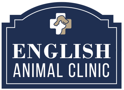 Engligh Animal Clinic