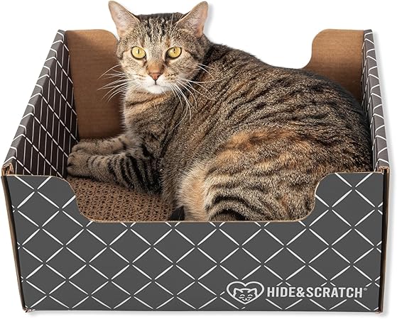 scratcher box