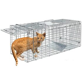 cat trap