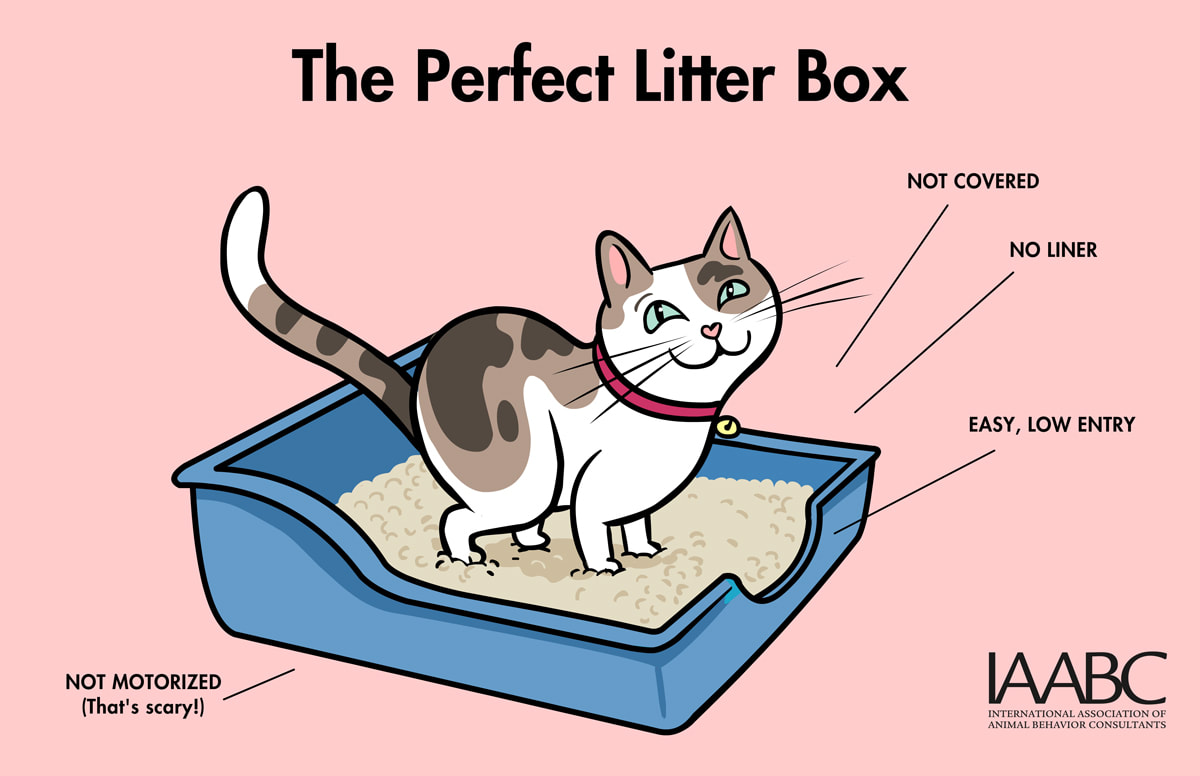 litterbox