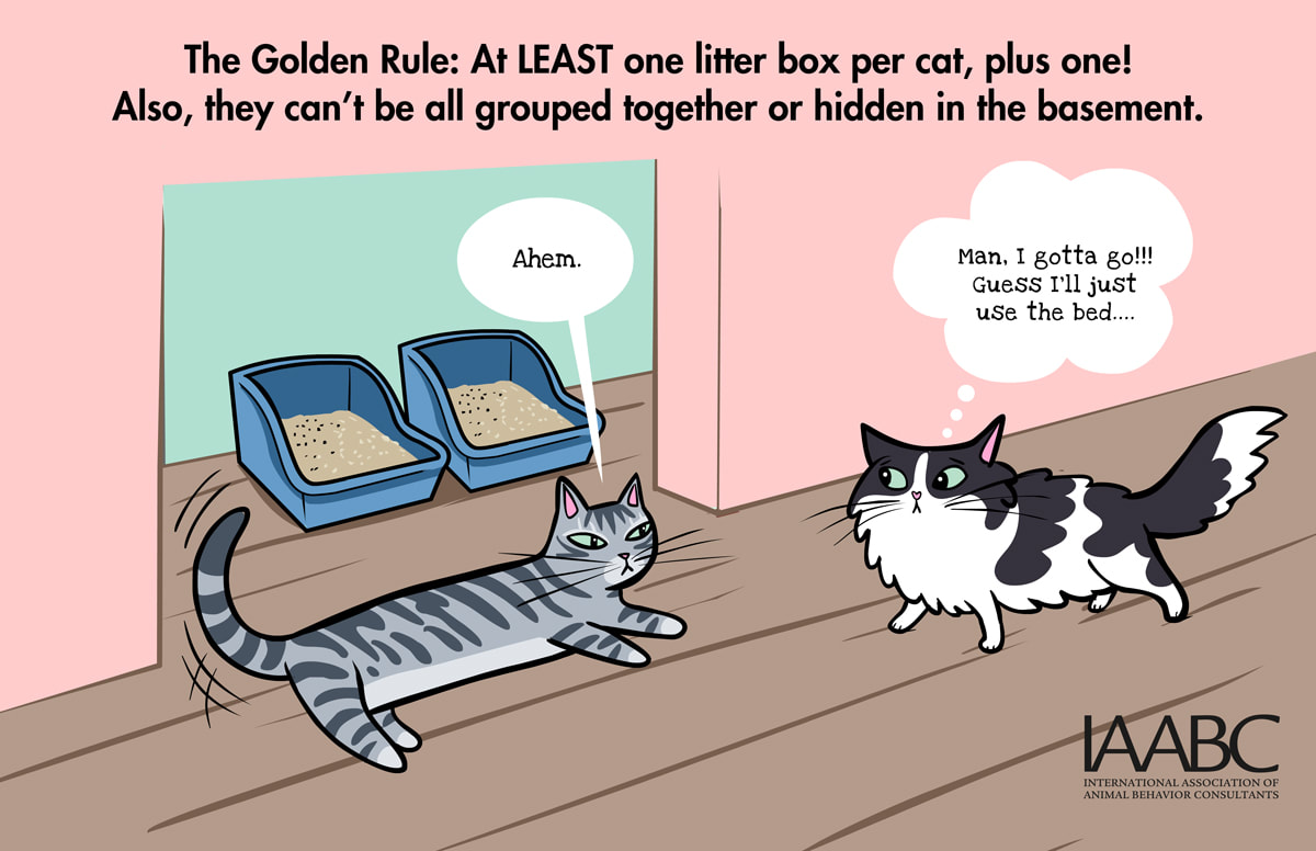 litterbox