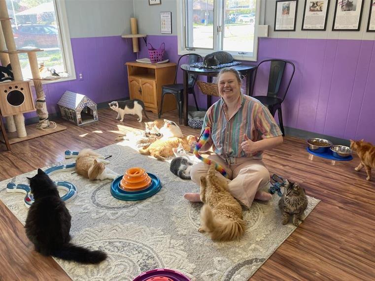 cat cafe
