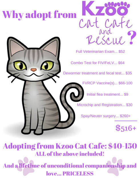 why adopt
