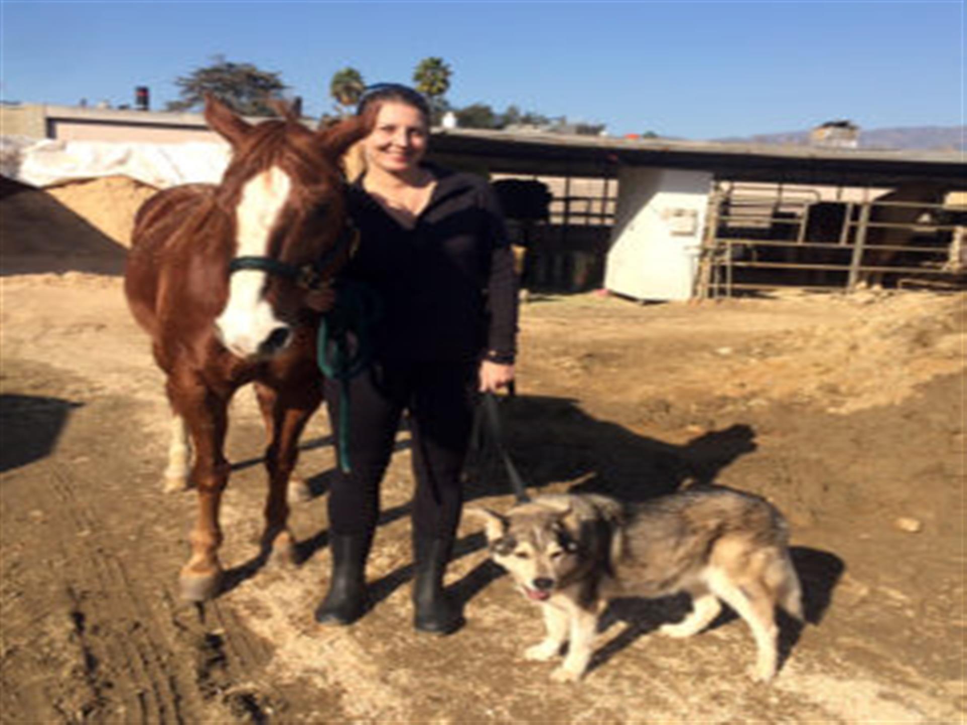 Heather's dog and horse